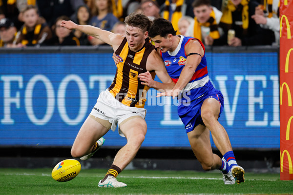 AFL 2024 Second Elimination Final - Western Bulldogs v Hawthorn - A-53718255