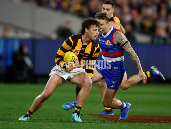 AFL 2024 Second Elimination Final - Western Bulldogs v Hawthorn - A-53719884