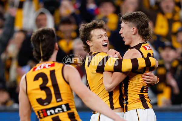 AFL 2024 Second Elimination Final - Western Bulldogs v Hawthorn - A-53719895