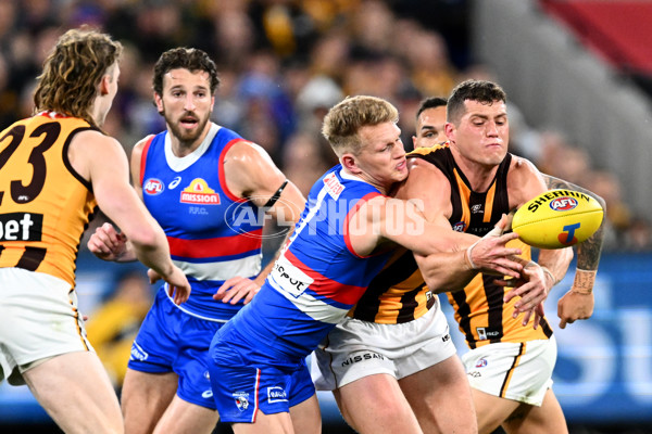 AFL 2024 Second Elimination Final - Western Bulldogs v Hawthorn - A-53719910