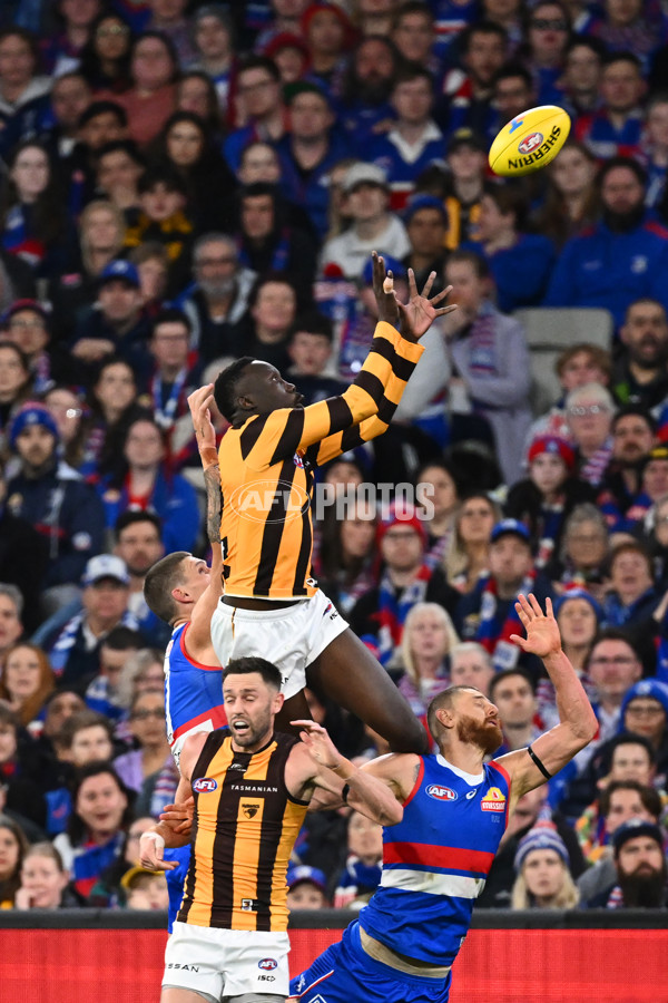 AFL 2024 Second Elimination Final - Western Bulldogs v Hawthorn - A-53719930