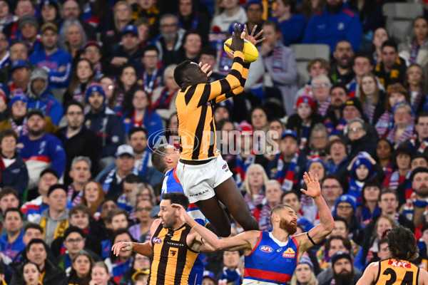 AFL 2024 Second Elimination Final - Western Bulldogs v Hawthorn - A-53719931
