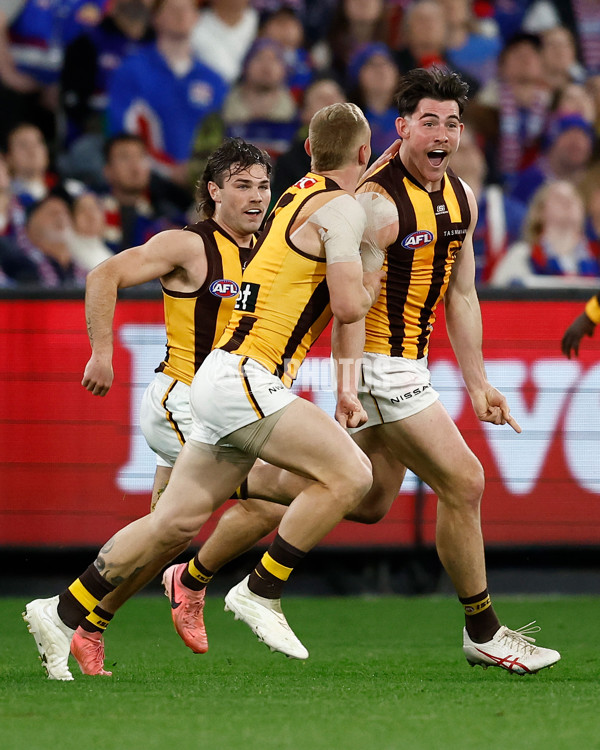 AFL 2024 Second Elimination Final - Western Bulldogs v Hawthorn - A-53719934