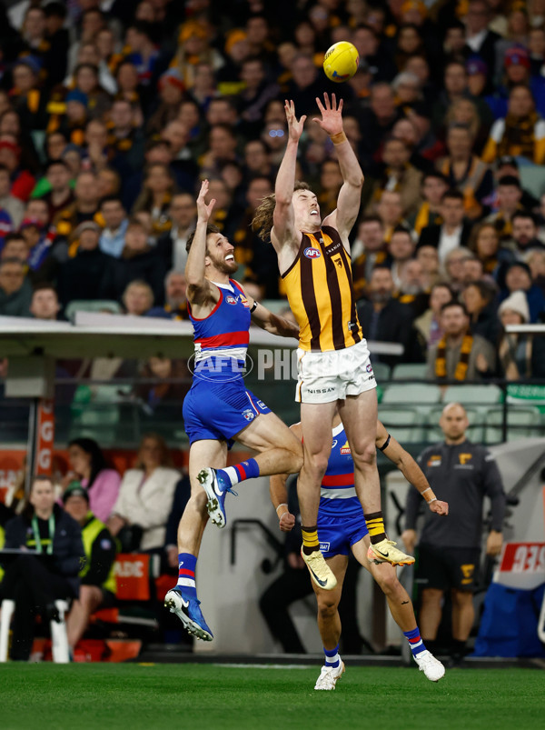 AFL 2024 Second Elimination Final - Western Bulldogs v Hawthorn - A-53719944