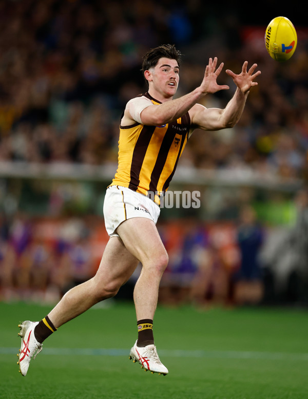 AFL 2024 Second Elimination Final - Western Bulldogs v Hawthorn - A-53719945
