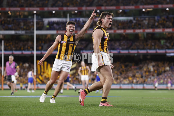 AFL 2024 Second Elimination Final - Western Bulldogs v Hawthorn - A-53719950