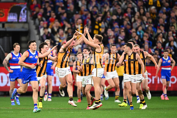AFL 2024 Second Elimination Final - Western Bulldogs v Hawthorn - A-53719952