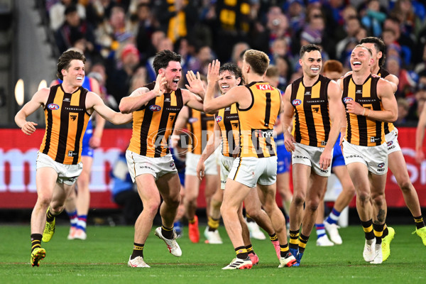 AFL 2024 Second Elimination Final - Western Bulldogs v Hawthorn - A-53719953