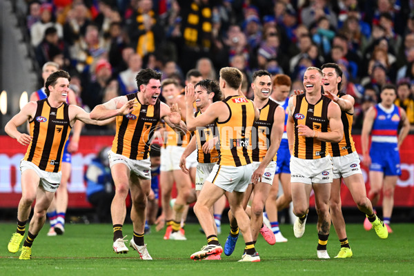 AFL 2024 Second Elimination Final - Western Bulldogs v Hawthorn - A-53719954