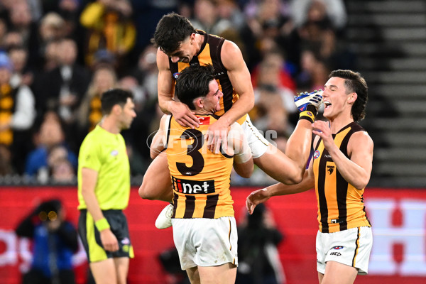 AFL 2024 Second Elimination Final - Western Bulldogs v Hawthorn - A-53719955