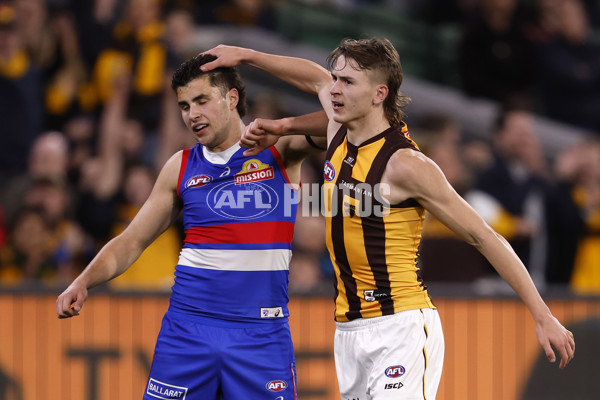 AFL 2024 Second Elimination Final - Western Bulldogs v Hawthorn - A-53719957