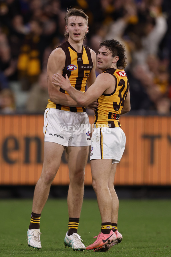 AFL 2024 Second Elimination Final - Western Bulldogs v Hawthorn - A-53719958
