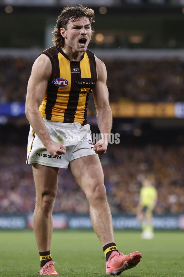 AFL 2024 Second Elimination Final - Western Bulldogs v Hawthorn - A-53719960