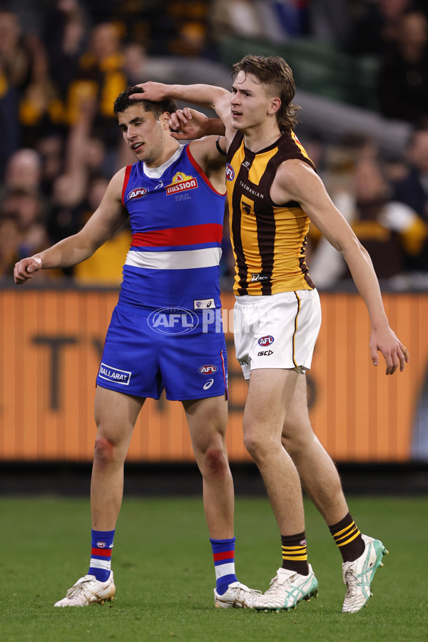 AFL 2024 Second Elimination Final - Western Bulldogs v Hawthorn - A-53719961