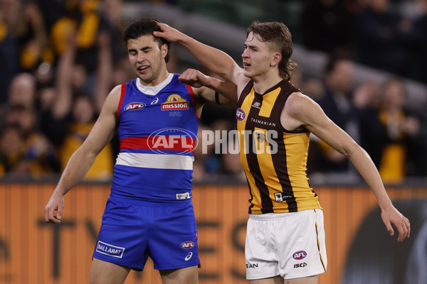 AFL 2024 Second Elimination Final - Western Bulldogs v Hawthorn - A-53719962
