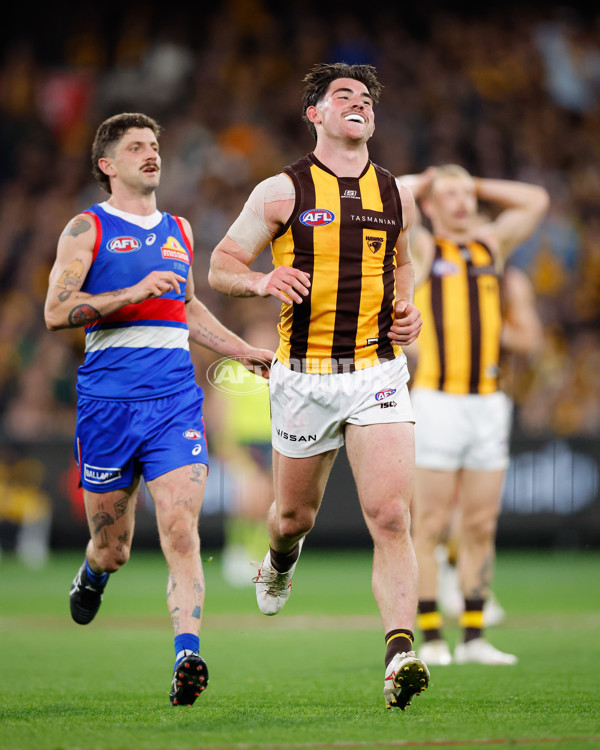 AFL 2024 Second Elimination Final - Western Bulldogs v Hawthorn - A-53719972