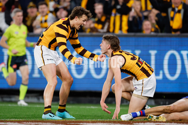 AFL 2024 Second Elimination Final - Western Bulldogs v Hawthorn - A-53720496