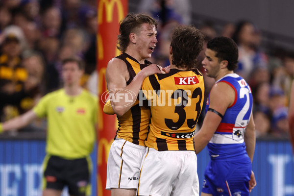 AFL 2024 Second Elimination Final - Western Bulldogs v Hawthorn - A-53720499