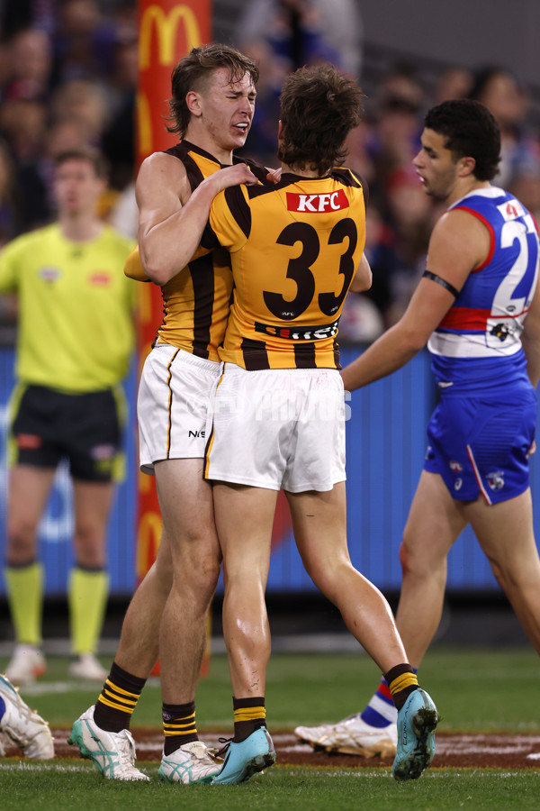 AFL 2024 Second Elimination Final - Western Bulldogs v Hawthorn - A-53720501