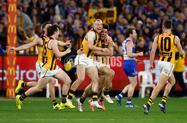 AFL 2024 Second Elimination Final - Western Bulldogs v Hawthorn - A-53720506