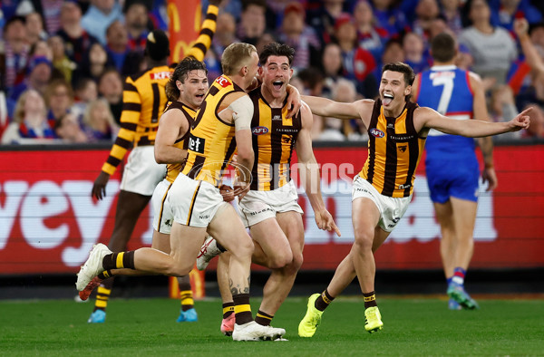 AFL 2024 Second Elimination Final - Western Bulldogs v Hawthorn - A-53720511