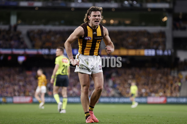 AFL 2024 Second Elimination Final - Western Bulldogs v Hawthorn - A-53720518