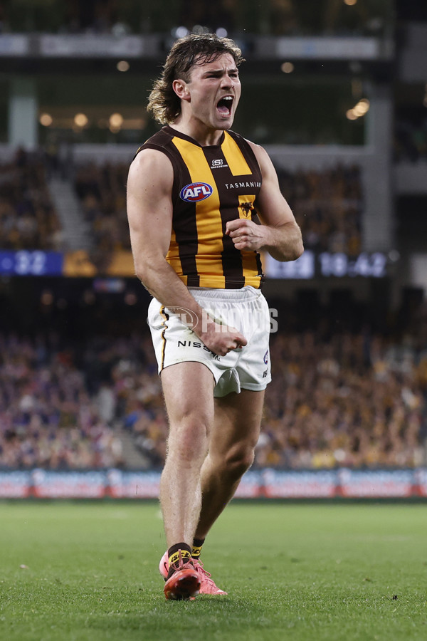 AFL 2024 Second Elimination Final - Western Bulldogs v Hawthorn - A-53720520