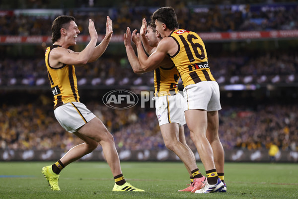 AFL 2024 Second Elimination Final - Western Bulldogs v Hawthorn - A-53720522