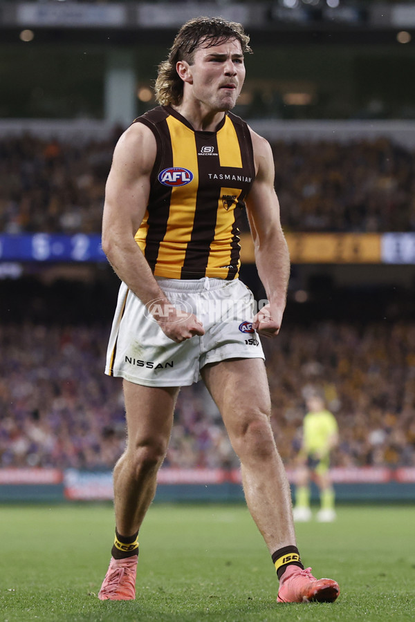AFL 2024 Second Elimination Final - Western Bulldogs v Hawthorn - A-53720525