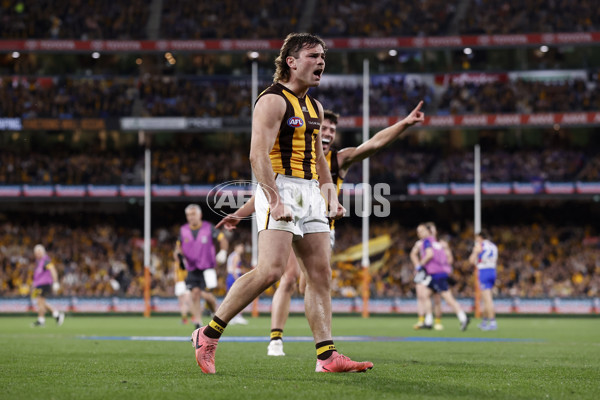 AFL 2024 Second Elimination Final - Western Bulldogs v Hawthorn - A-53720539