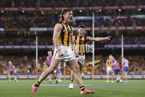 AFL 2024 Second Elimination Final - Western Bulldogs v Hawthorn - A-53720544
