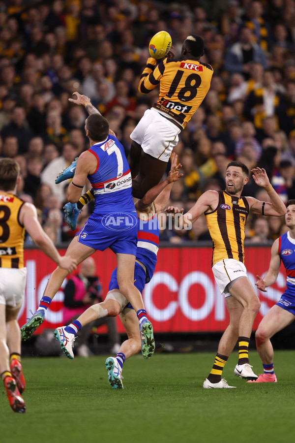 AFL 2024 Second Elimination Final - Western Bulldogs v Hawthorn - A-53720549