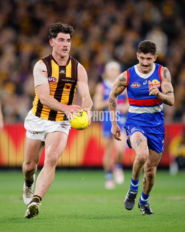 AFL 2024 Second Elimination Final - Western Bulldogs v Hawthorn - A-53720551