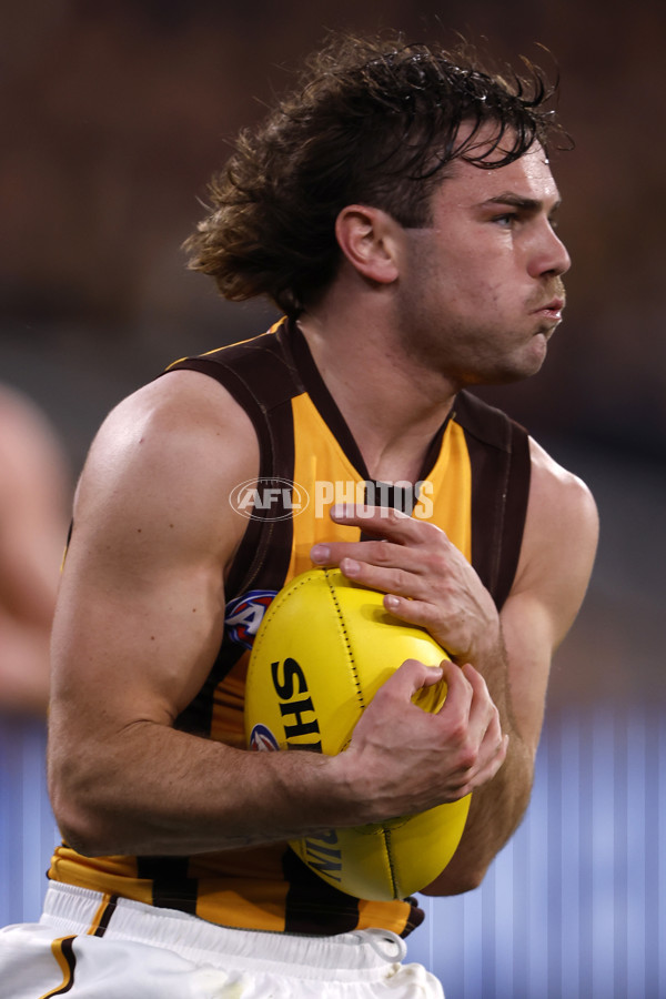 AFL 2024 Second Elimination Final - Western Bulldogs v Hawthorn - A-53720553