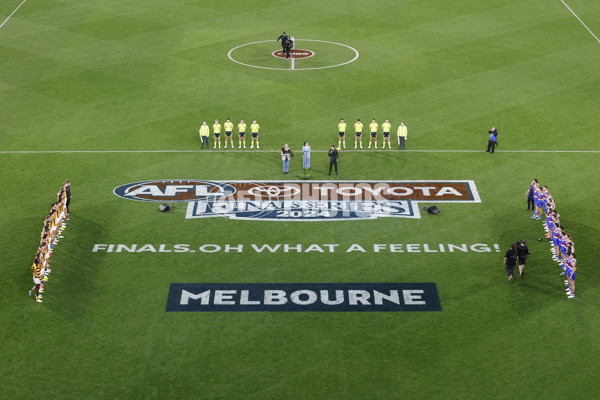 AFL 2024 Second Elimination Final - Western Bulldogs v Hawthorn - A-53720580