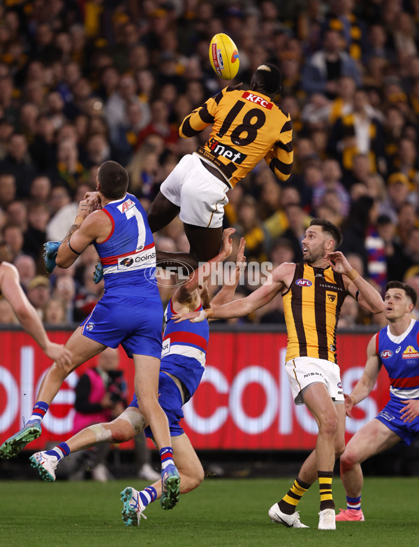 AFL 2024 Second Elimination Final - Western Bulldogs v Hawthorn - A-53720581
