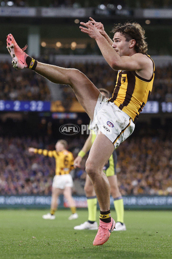 AFL 2024 Second Elimination Final - Western Bulldogs v Hawthorn - A-53720583
