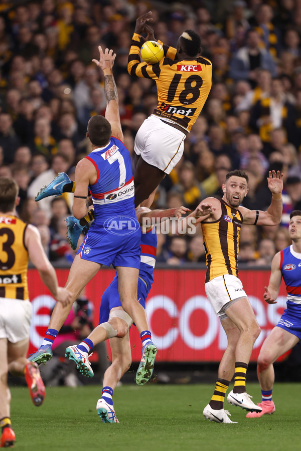 AFL 2024 Second Elimination Final - Western Bulldogs v Hawthorn - A-53722506