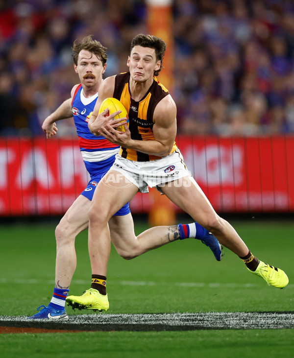 AFL 2024 Second Elimination Final - Western Bulldogs v Hawthorn - A-53722528