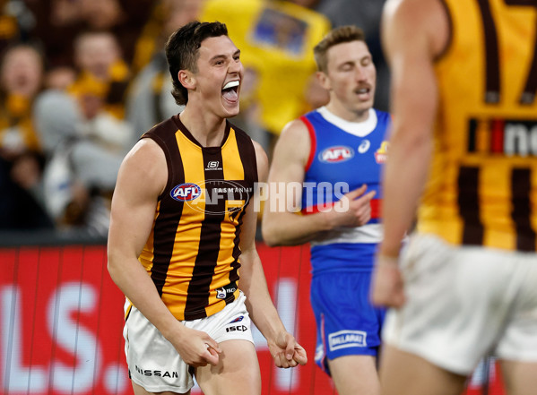 AFL 2024 Second Elimination Final - Western Bulldogs v Hawthorn - A-53722542