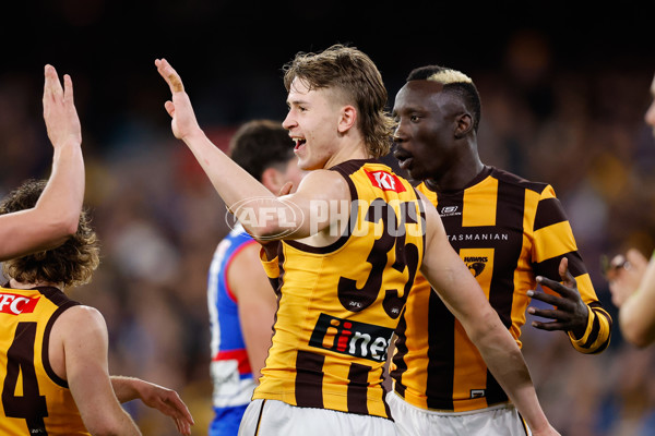 AFL 2024 Second Elimination Final - Western Bulldogs v Hawthorn - A-53722543