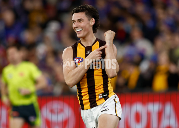 AFL 2024 Second Elimination Final - Western Bulldogs v Hawthorn - A-53722554
