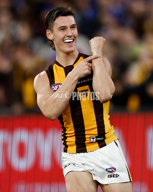 AFL 2024 Second Elimination Final - Western Bulldogs v Hawthorn - A-53722555