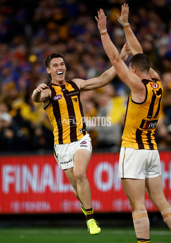 AFL 2024 Second Elimination Final - Western Bulldogs v Hawthorn - A-53722557