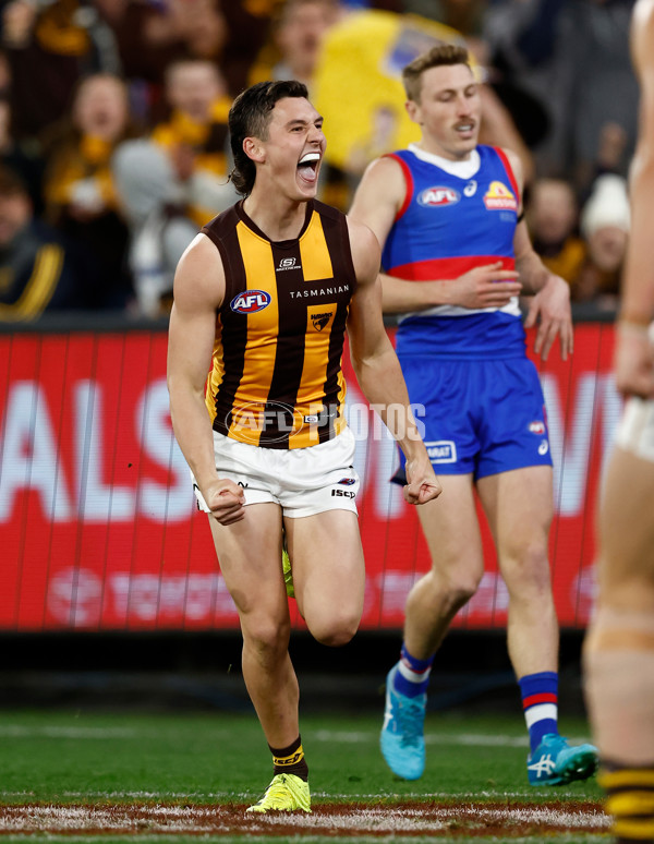 AFL 2024 Second Elimination Final - Western Bulldogs v Hawthorn - A-53722568