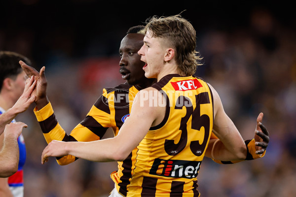 AFL 2024 Second Elimination Final - Western Bulldogs v Hawthorn - A-53722569