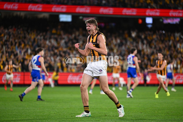 AFL 2024 Second Elimination Final - Western Bulldogs v Hawthorn - A-53722577