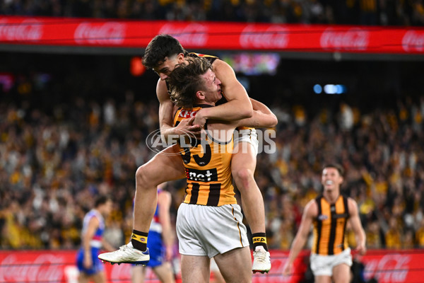 AFL 2024 Second Elimination Final - Western Bulldogs v Hawthorn - A-53722578