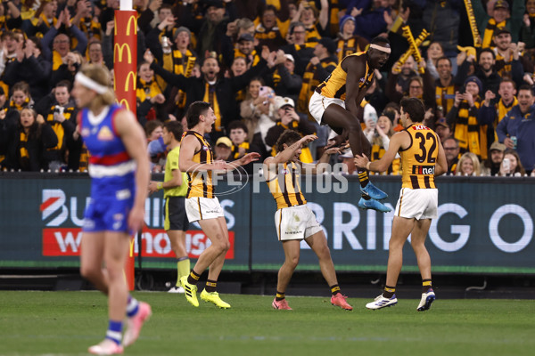 AFL 2024 Second Elimination Final - Western Bulldogs v Hawthorn - A-53722586