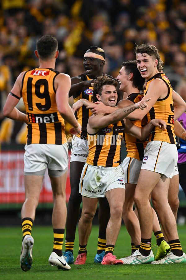 AFL 2024 Second Elimination Final - Western Bulldogs v Hawthorn - A-53722593
